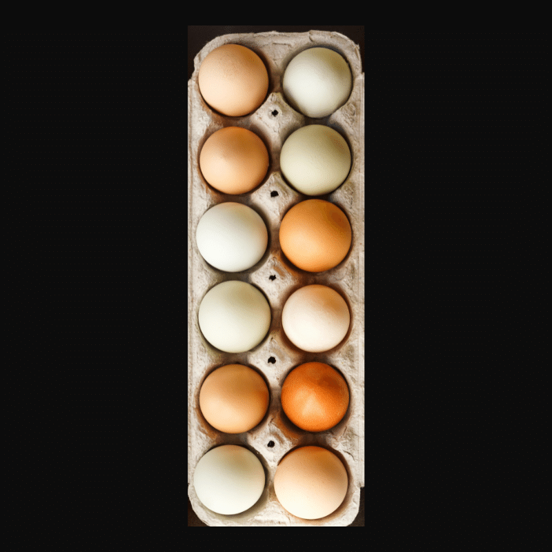 one dozen free range eggs buy online 